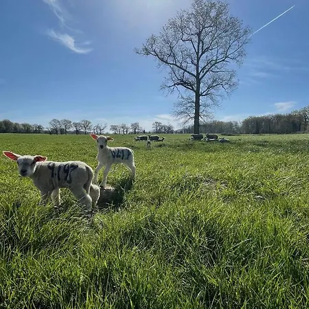 Tatil Evi La Maison De Villars